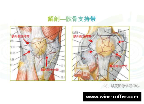 体育明星膝盖韧带损伤再度引发关注 专家解析康复难点与治疗方案