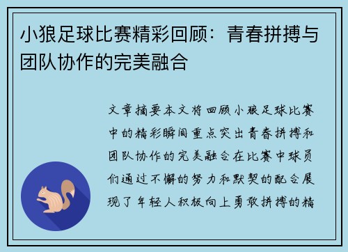 小狼足球比赛精彩回顾：青春拼搏与团队协作的完美融合